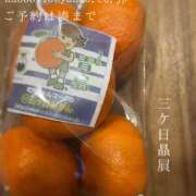 ヒメ日記 2025/02/12 06:29 投稿 湊かすみ ローテンブルク