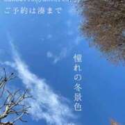 ヒメ日記 2025/02/14 19:15 投稿 湊かすみ ローテンブルク