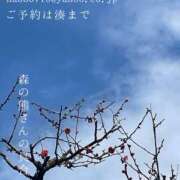 ヒメ日記 2025/02/15 19:53 投稿 湊かすみ ローテンブルク