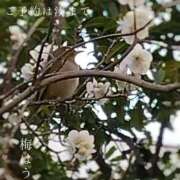 ヒメ日記 2025/02/17 05:12 投稿 湊かすみ ローテンブルク