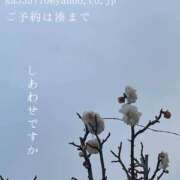 ヒメ日記 2025/02/17 05:24 投稿 湊かすみ ローテンブルク