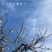 ヒメ日記 2025/02/17 05:36 投稿 湊かすみ ローテンブルク