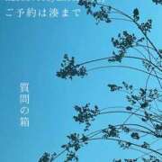ヒメ日記 2025/02/19 06:40 投稿 湊かすみ ローテンブルク
