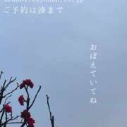 ヒメ日記 2025/02/19 15:49 投稿 湊かすみ ローテンブルク