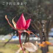 ヒメ日記 2025/02/19 15:57 投稿 湊かすみ ローテンブルク