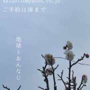 ヒメ日記 2025/02/19 16:06 投稿 湊かすみ ローテンブルク