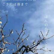 ヒメ日記 2025/02/20 09:59 投稿 湊かすみ ローテンブルク