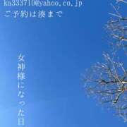 ヒメ日記 2025/02/21 02:13 投稿 湊かすみ ローテンブルク