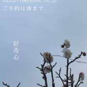 ヒメ日記 2025/02/23 08:09 投稿 湊かすみ ローテンブルク