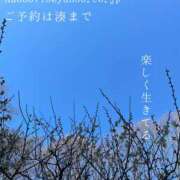 ヒメ日記 2025/02/24 08:46 投稿 湊かすみ ローテンブルク