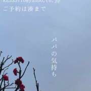 ヒメ日記 2025/02/25 05:22 投稿 湊かすみ ローテンブルク