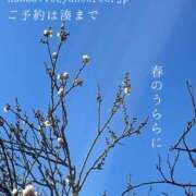 ヒメ日記 2025/02/27 08:36 投稿 湊かすみ ローテンブルク