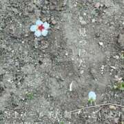 ヒメ日記 2025/02/28 09:00 投稿 湊かすみ ローテンブルク