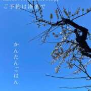ヒメ日記 2025/02/28 09:53 投稿 湊かすみ ローテンブルク