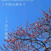 ヒメ日記 2025/02/28 23:16 投稿 湊かすみ ローテンブルク