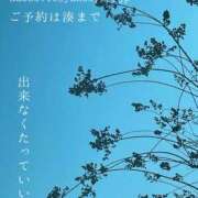 ヒメ日記 2025/03/01 00:22 投稿 湊かすみ ローテンブルク
