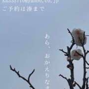 ヒメ日記 2025/03/01 23:08 投稿 湊かすみ ローテンブルク