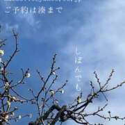 ヒメ日記 2025/03/02 00:41 投稿 湊かすみ ローテンブルク