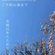 ヒメ日記 2025/03/04 02:38 投稿 湊かすみ ローテンブルク