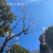 ヒメ日記 2025/03/04 03:18 投稿 湊かすみ ローテンブルク