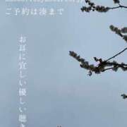 ヒメ日記 2025/03/06 02:47 投稿 湊かすみ ローテンブルク