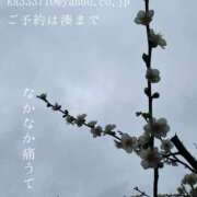 ヒメ日記 2025/03/06 03:47 投稿 湊かすみ ローテンブルク