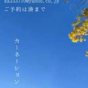 ヒメ日記 2025/03/08 07:19 投稿 湊かすみ ローテンブルク