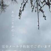 ヒメ日記 2025/03/08 08:03 投稿 湊かすみ ローテンブルク
