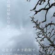 ヒメ日記 2025/03/09 00:05 投稿 湊かすみ ローテンブルク