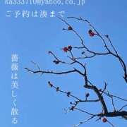 ヒメ日記 2025/03/09 04:43 投稿 湊かすみ ローテンブルク