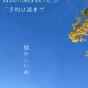 ヒメ日記 2025/03/11 07:28 投稿 湊かすみ ローテンブルク