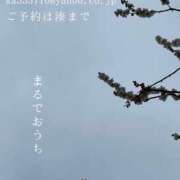 ヒメ日記 2025/03/12 23:49 投稿 湊かすみ ローテンブルク