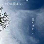 ヒメ日記 2025/03/13 23:39 投稿 湊かすみ ローテンブルク