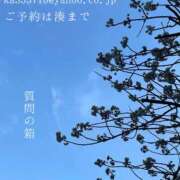 ヒメ日記 2025/03/20 06:31 投稿 湊かすみ ローテンブルク