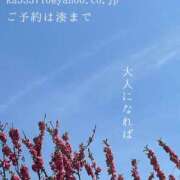 ヒメ日記 2025/03/20 06:42 投稿 湊かすみ ローテンブルク