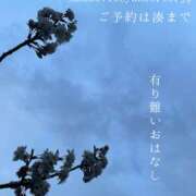ヒメ日記 2025/03/21 00:33 投稿 湊かすみ ローテンブルク