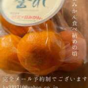 ヒメ日記 2025/03/22 17:46 投稿 湊かすみ ローテンブルク