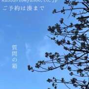 ヒメ日記 2025/03/25 09:43 投稿 湊かすみ ローテンブルク