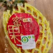 ヒメ日記 2025/03/27 01:39 投稿 湊かすみ ローテンブルク