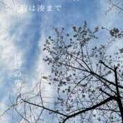 ヒメ日記 2025/03/30 09:25 投稿 湊かすみ ローテンブルク