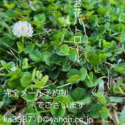 ヒメ日記 2025/03/30 19:11 投稿 湊かすみ ローテンブルク