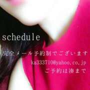 ヒメ日記 2025/03/31 04:32 投稿 湊かすみ ローテンブルク