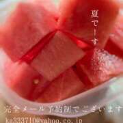 ヒメ日記 2025/03/31 21:41 投稿 湊かすみ ローテンブルク