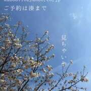 ヒメ日記 2025/03/31 21:51 投稿 湊かすみ ローテンブルク