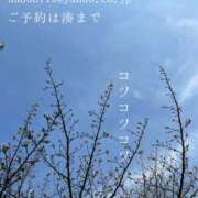 ヒメ日記 2025/04/02 00:26 投稿 湊かすみ ローテンブルク