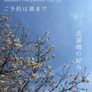 ヒメ日記 2025/04/04 05:51 投稿 湊かすみ ローテンブルク