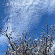 ヒメ日記 2025/04/05 06:44 投稿 湊かすみ ローテンブルク