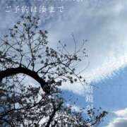 ヒメ日記 2025/04/05 07:04 投稿 湊かすみ ローテンブルク