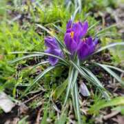 ヒメ日記 2025/04/05 07:16 投稿 湊かすみ ローテンブルク