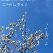 ヒメ日記 2025/04/06 18:42 投稿 湊かすみ ローテンブルク
